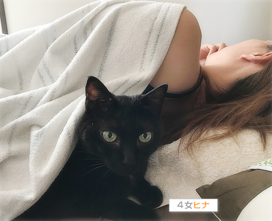 猫ナース_a0389088_18131221.jpg
