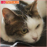 って、そっち!?_a0389088_18131328.jpg