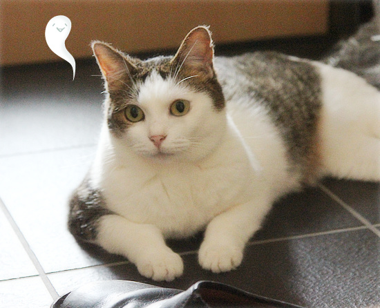 って、そっち!?_a0389088_18131356.jpg