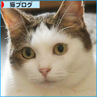 って、そっち!?_a0389088_18131359.jpg
