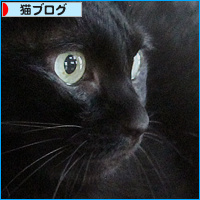 麻薬猫_a0389088_18131408.jpg