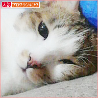 大阪弁のかんみさん?_a0389088_18133112.jpg