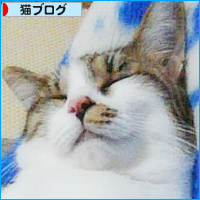 大阪弁のかんみさん?_a0389088_18133142.jpg