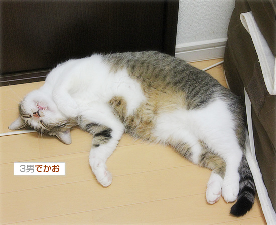 もうひとりの「でかおくん」_a0389088_18140637.jpg