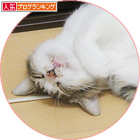 もうひとりの「でかおくん」_a0389088_18140642.jpg