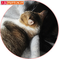 まさかの真相_a0389088_18140705.jpg