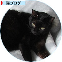 まさかの真相_a0389088_18140743.jpg