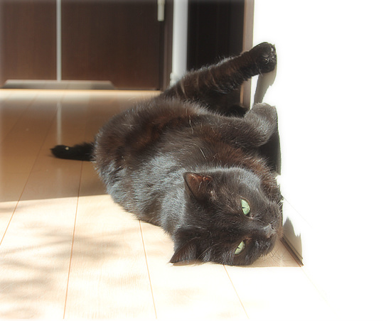 おひさま丸かじり_a0389088_18141119.jpg