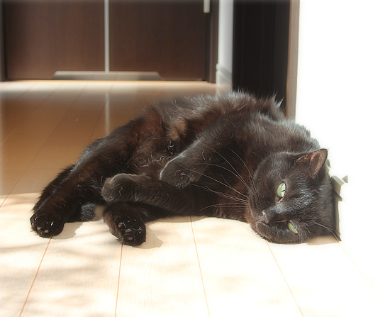 おひさま丸かじり_a0389088_18141178.jpg