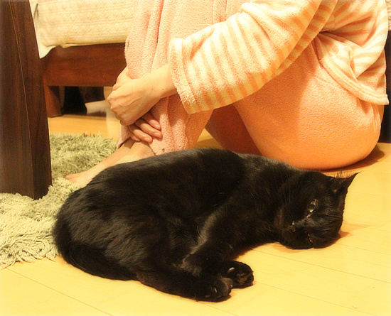 まめの限界_a0389088_18141384.jpg