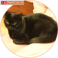 まめの限界_a0389088_18141460.jpg