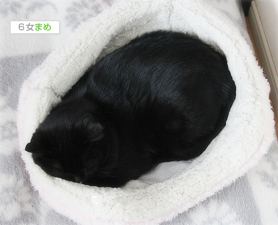 犯人は誰だ_a0389088_18141514.jpg