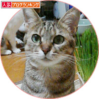 しあわせ通信(オチあり)_a0389088_18141532.jpg