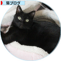 犯人は誰だ_a0389088_18141632.jpg