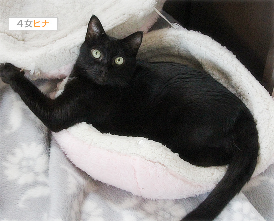 犯人は誰だ_a0389088_18141682.jpg