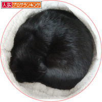 犯人は誰だ_a0389088_18141693.jpg