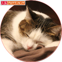 猫が抗えないもの_a0389088_18142020.jpg