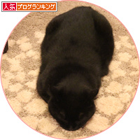 ごろごろの魔法_a0389088_18142844.jpg