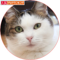 ガンコなんだから_a0389088_18145002.jpg