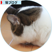ガンコなんだから_a0389088_18145060.jpg