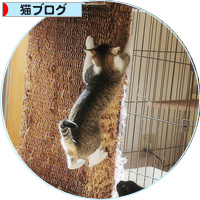 寒さなんて関係ない_a0389088_18145541.jpg