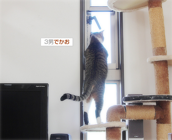寒さなんて関係ない_a0389088_18145569.jpg