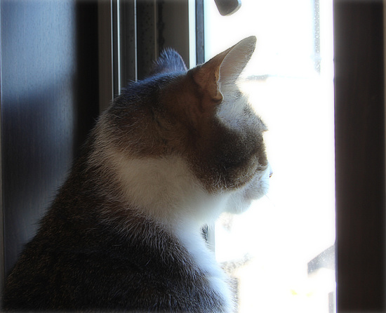 寒さなんて関係ない_a0389088_18145589.jpg