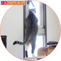 寒さなんて関係ない_a0389088_18145590.jpg