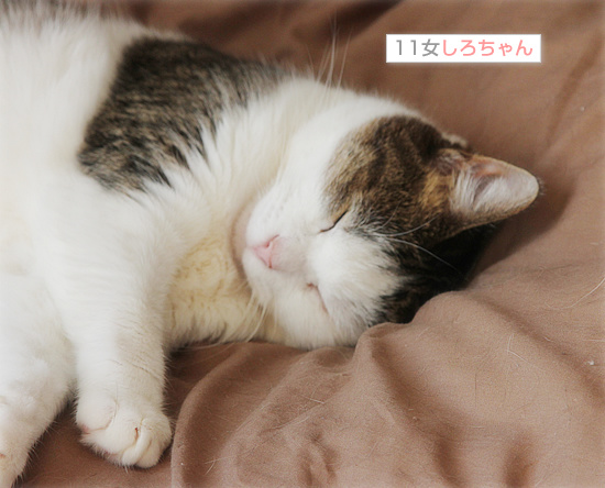 落ち込んだときも_a0389088_18150003.jpg