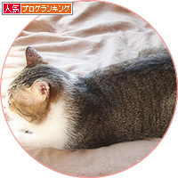 落ち込んだときも_a0389088_18150047.jpg