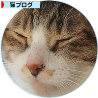 落ち込んだときも_a0389088_18150097.jpg
