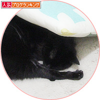 個性的な寝方_a0389088_18150336.jpg
