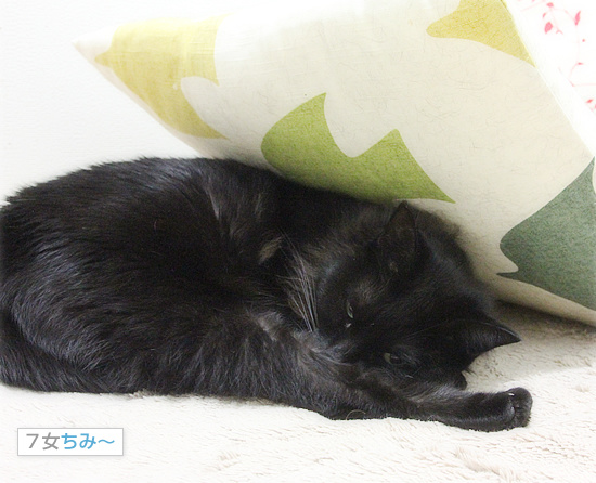 個性的な寝方_a0389088_18150343.jpg