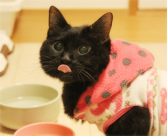 ようやく告知できることになりました!_a0389088_18150447.jpg
