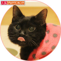 ようやく告知できることになりました!_a0389088_18150497.jpg
