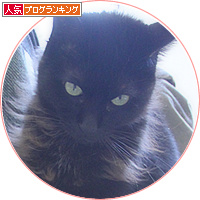 新しい試み_a0389088_18150548.jpg