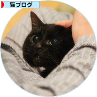 ようやく告知できることになりました!_a0389088_18150577.jpg