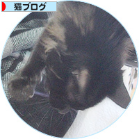 新しい試み_a0389088_18150586.jpg