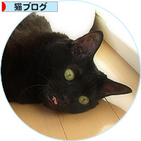 猫エイズと白血病・・・だけど生きてる_a0389088_18151429.jpg