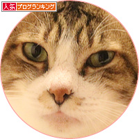男気がモテる理由_a0389088_18152417.jpg