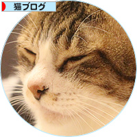 男気がモテる理由_a0389088_18152468.jpg