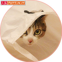 女王は、箱だけじゃない!_a0389088_18154270.jpg