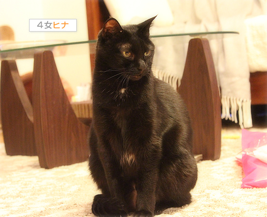 女王は、箱だけじゃない!_a0389088_18154277.jpg