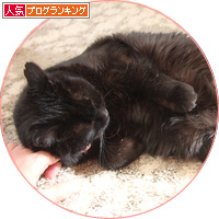 生と死のはざまから_a0389088_18154634.jpg
