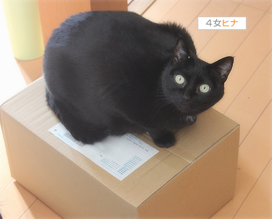 実はそれも楽しみだった_a0389088_18154649.jpg