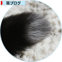 生と死のはざまから_a0389088_18154678.jpg
