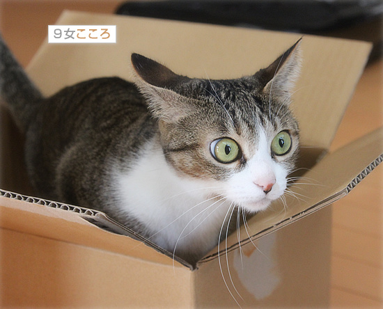 実はそれも楽しみだった_a0389088_18154708.jpg