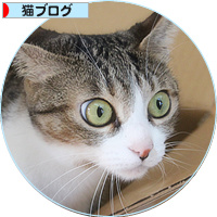実はそれも楽しみだった_a0389088_18154790.jpg