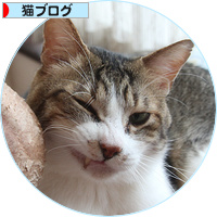 王様しいたけがやってきた!_a0389088_18155193.jpg