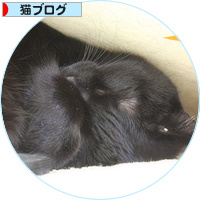 猫の防寒対策_a0389088_18155201.jpg